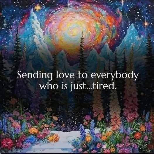 PhoenixR1sing44's tweet photo. 🙏🏻🕊❤️✨️🪽 https://t.co/Vx5QWV6KhP