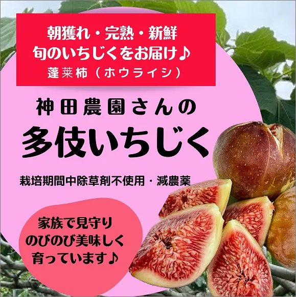 jigemonshop's tweet photo. 神田農園さんの「多伎いちじく」
只今、数量限定・ご予約受付中📢
プチプチ食感が楽しめる多伎いちじくはヨーグルトと合わせるのもおすすめ🥣
お好きなアレンジをお楽しみください😋

詳細はこちら
https://t.co/0aOmLJ3Zol

#多伎いちじく #ホウライシ #イチジク #いちじく #島根県 https://t.co/ObJGxcM5gn