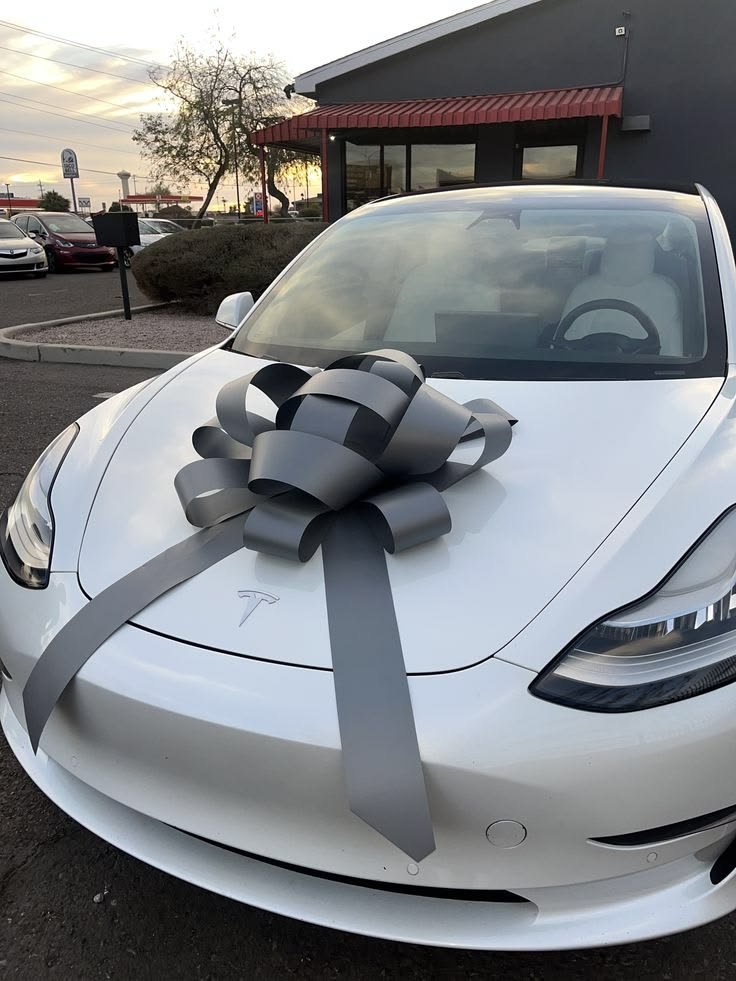 Muskmintempire's tweet photo. Be honest, Which color of the Tesla do you want and it is delivered to your doorstep. 

A. White

B. Black

C. Others https://t.co/Hj6MUvCV8D
