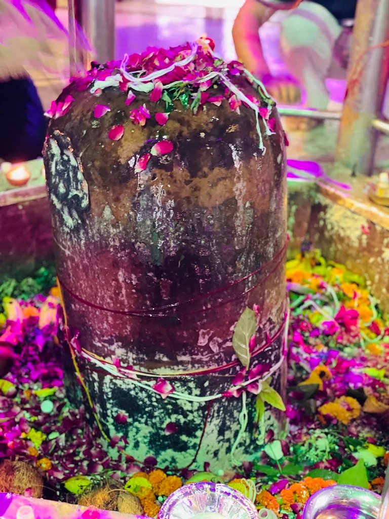 ShamboNagari's tweet photo. ॐ त्र्यम्बकं यजामहे सुगन्धिं पुष्टिवर्धनम्।
उर्वारुकमिव बन्धनान्मृत्योर्मुक्षीय मामृतात्॥

भगवान शिव आपको उत्तम स्वास्थ्य, सुख, शक्ति और सफलता का आशीर्वाद प्रदान करें।

सावन शिवरात्रि की हार्दिक शुभकामनाएँ! 🙏🕉️

हर हर महादेव! 🔱

#ShamboNagari https://t.co/SkGTW7mSfs