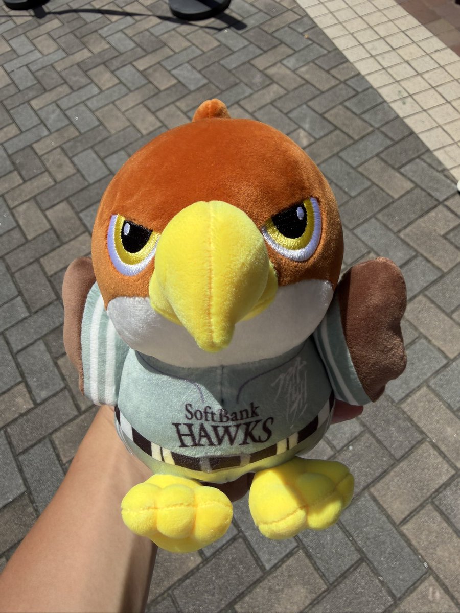 cham_remon's tweet photo. 初めてのタカぬい三等 #タカぬい #sbhawks #みずほPayPayドーム https://t.co/TYHqgRHpOf