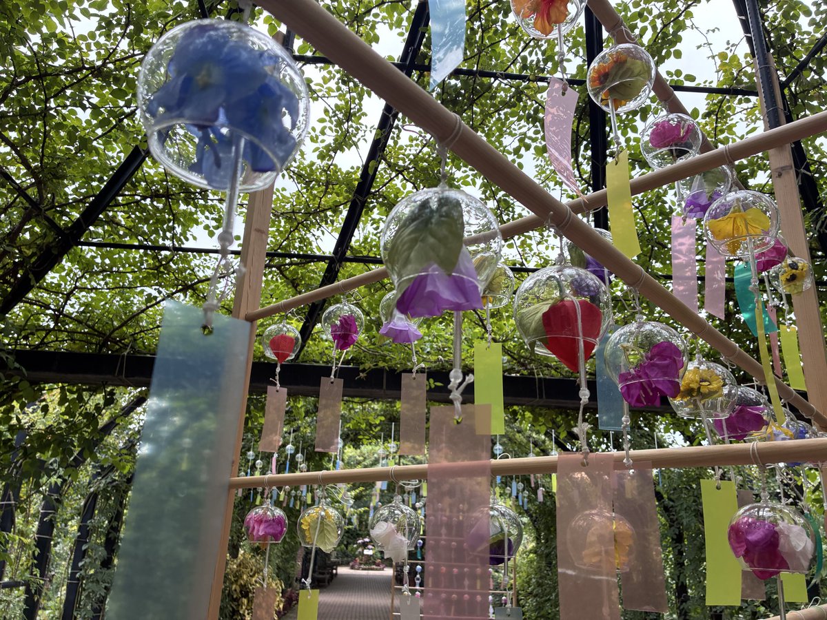 usb_keeburu's tweet photo. イングリッシュガーデンです
時期的にあんまり花咲いてないけど、綺麗な庭園でした https://t.co/bcb56T1FQ2