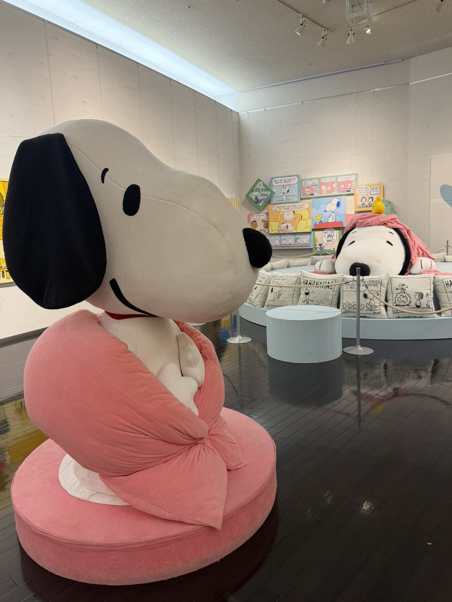 mituki_hkn's tweet photo. 楽しかったー！
ゆっくり帰ろぉ( ･ ´｀(●) https://t.co/rumYozNB4e