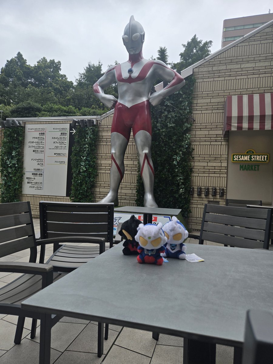 jack7340's tweet photo. 今日もやってきました。今日はししょーとのミトヒも控えてあります。
ちなみにこれ撮った後、風が吹いて、3人とも仲良く倒れました。
#夏はウルサマ https://t.co/dix871dBBP