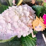 Photo by ChuMinamoto | ☕ Ko-fi 🛒🈺~ (@ChuMinamoto)