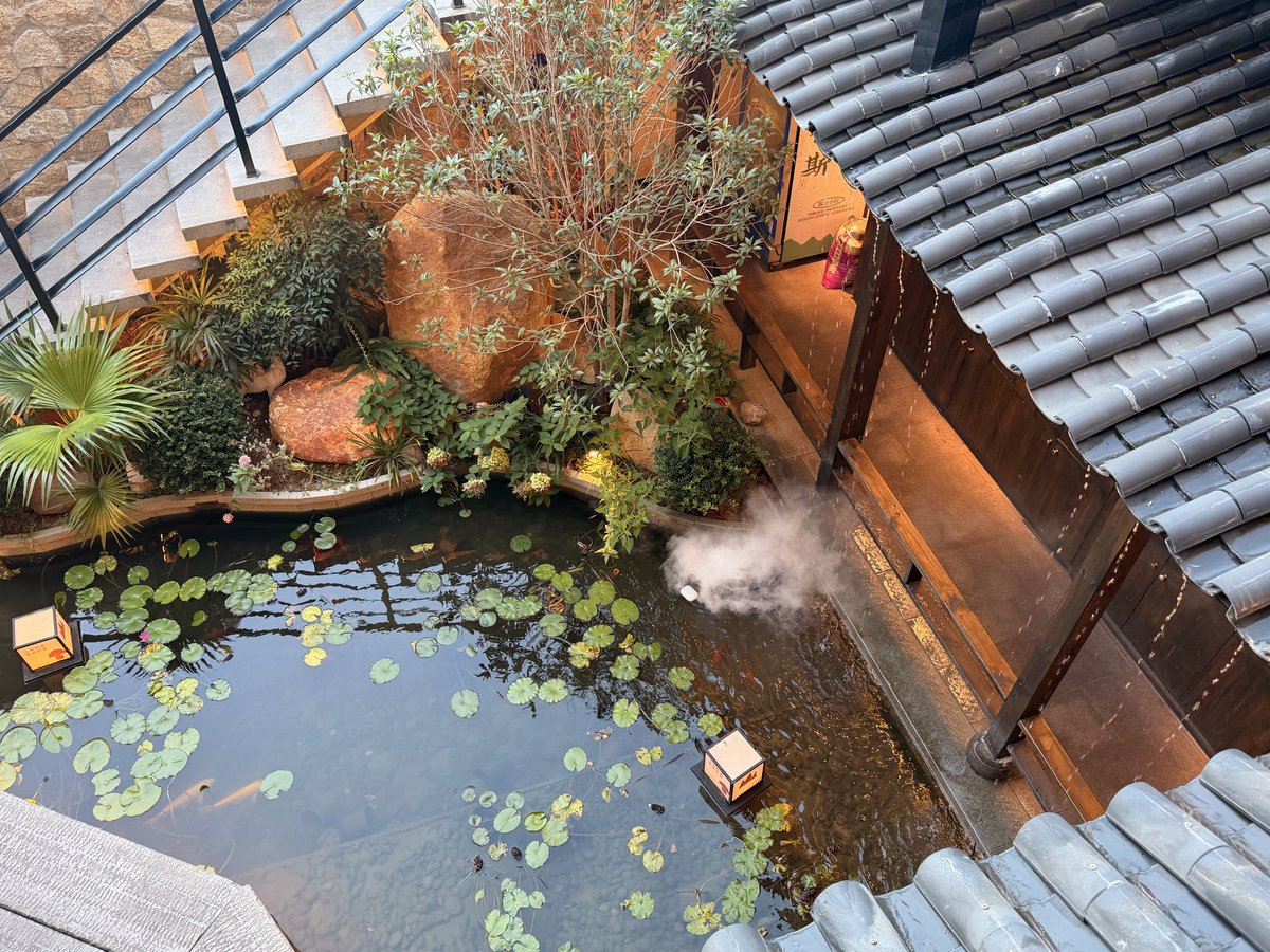 LaverneZhang's tweet photo. Dinner time inside a serene ancient-style courtyard. Fog floating above the pond, soft lights and slow moments.
在古風庭院裡享用晚餐,池面飄起薄霧,暖光環繞,時光都跟著慢了下來。
#dinner #life #Chinese restaurant #travel #slow time https://t.co/QbYQVl0FcF