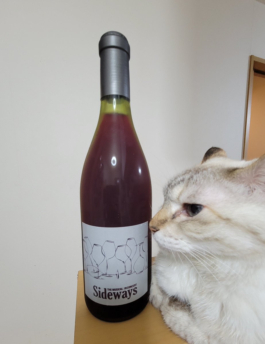 ikura0121055's tweet photo. 😆🍷🍇✨
#Sideways
#Sideways観てきた https://t.co/WZBFh0A79y
