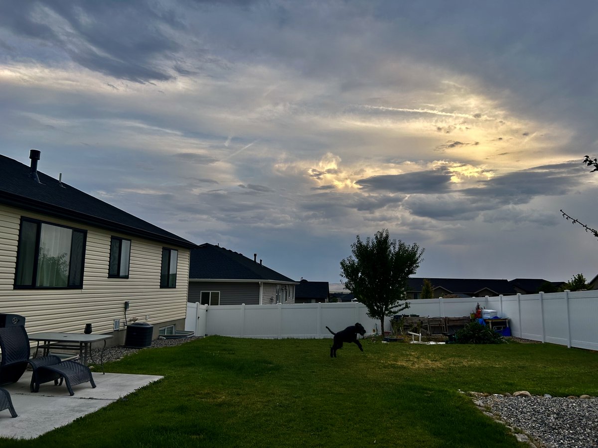 HyggeMan's tweet photo. I'm Hoping For Rain...Bec The Dog Is Hoping For More Fetching Time

#PicOfTheDay #RainPlease #BecTheDog #MoreFetchingTime #NorthernUtah https://t.co/0mr8EnTRiX