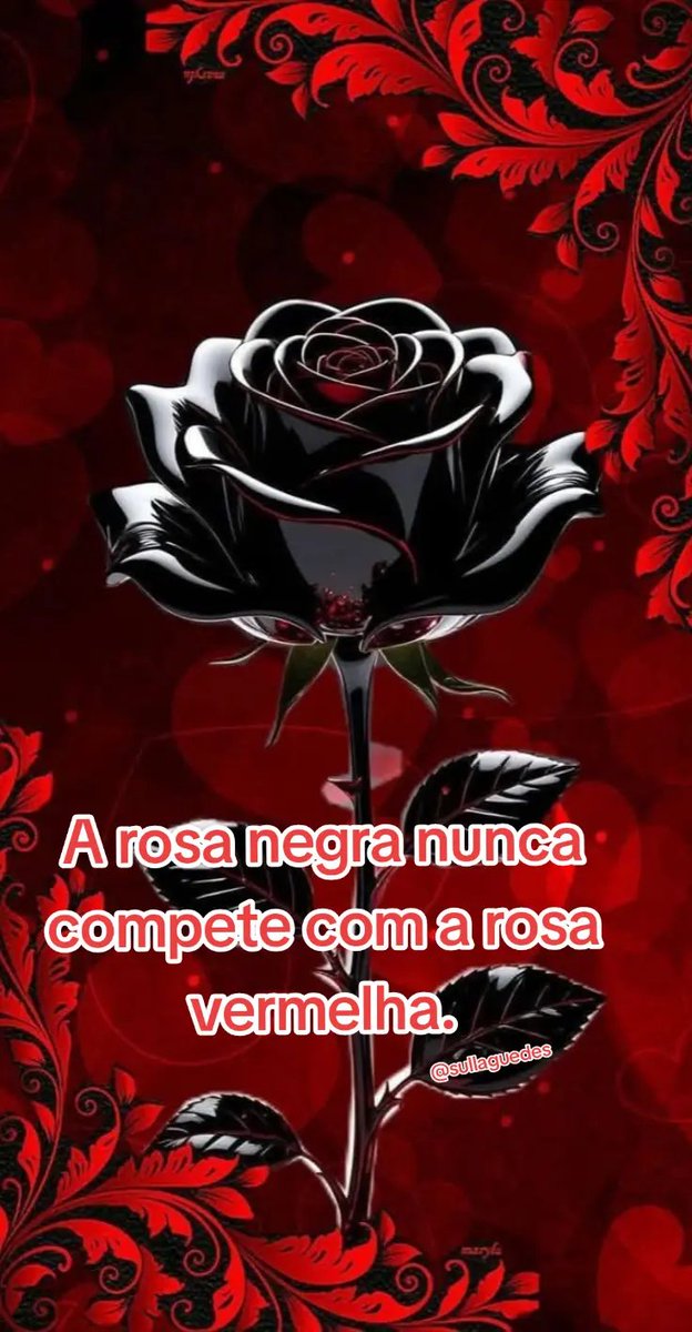 SullaGuedes's tweet photo. https://t.co/oMIhRTtF0J