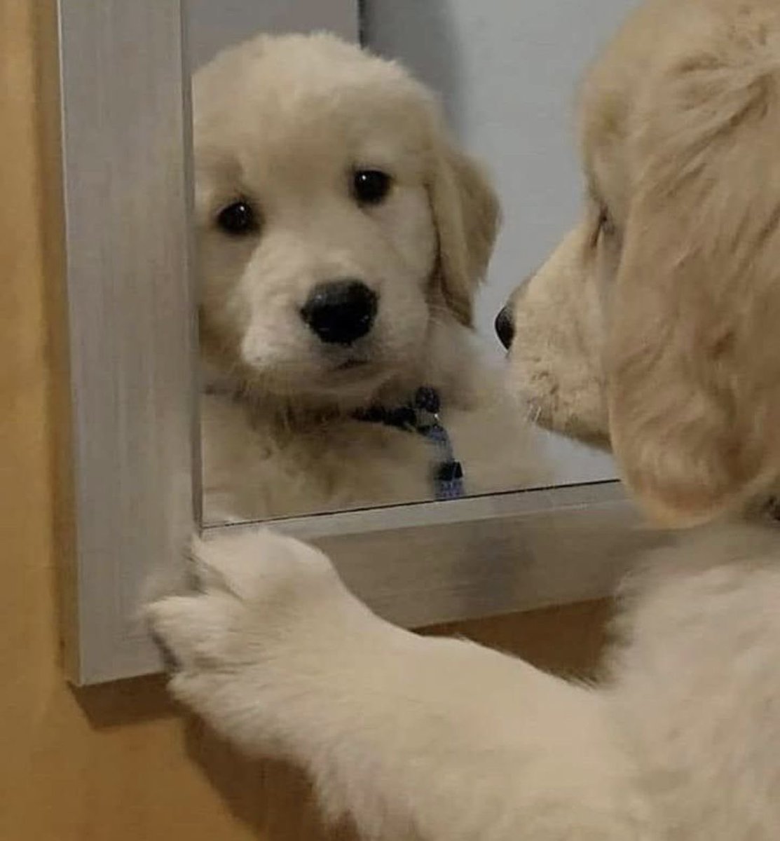 adorableantonny's tweet photo. ㅜㅠㅠㅜㅜㅜㅜㅜㅠㅠㅠㅠ https://t.co/ejwGun8CCC