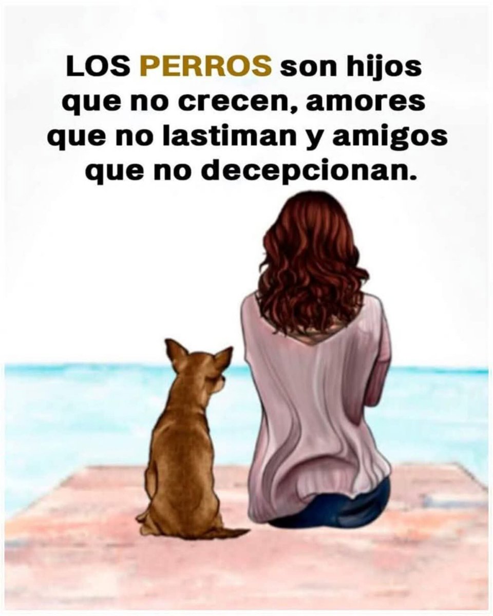 GRamirezF_D12's tweet photo. Buenas noches ✨💖 https://t.co/LwmPJP3q0R