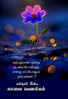 OfficeOfKSKY's tweet photo. இனிய காலை வணக்கம்! 🙏

#HappyTuesdayMorning 😊 https://t.co/8siQ9bwF5o