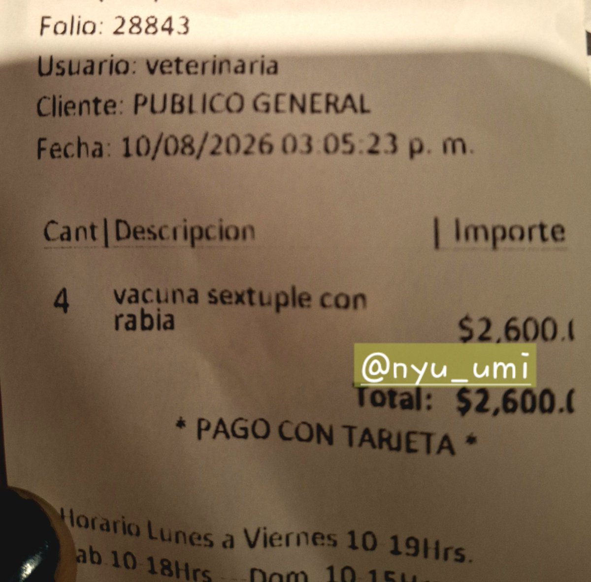 Nyu_umi's tweet photo. Hola! 
Al fin pudimos ir al vet.😊 
Nos tocó sol, lluvia y mucho calor pero ya estamos vacunados! Gracias a Edgar por pagar nuestras vacunas, mandarnos croquetitas y también a las personas que se sumaron porque acompletamos para el transporte🐾💗 
Aún hay una deuda pendiente de https://t.co/ElhKYEIVTG