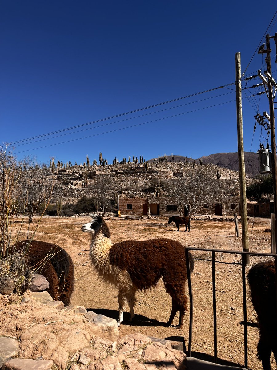 fancoffy's tweet photo. @turisargentina Tilcara ❤️ 🦙 https://t.co/nwZOfSD0cd