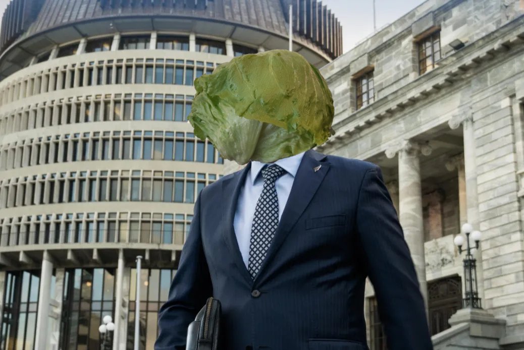 NatlClownshow's tweet photo. CAN THIS HEAD OF LETTUCE OUTLAST CHRIS LUXON?
Day 0: fresh, crispy, full of life. If @NZNationalParty are looking for a new leader this could be just the thing.
#LuxonWatch #LettuceWatch #nzpol #NationalNotFitToGovern https://t.co/taUVmKAgkY