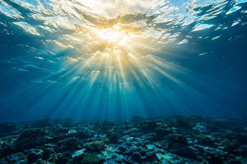 Divemaster_hyde's tweet photo. 泡のゆく先を、ただ眺めていた。

この静けさ、大切な誰かに届けたくなりませんか？

#水中写真 #scubadiving #underwaterphotography #海 #diving #沖縄の海 https://t.co/zWoqfqAmp5