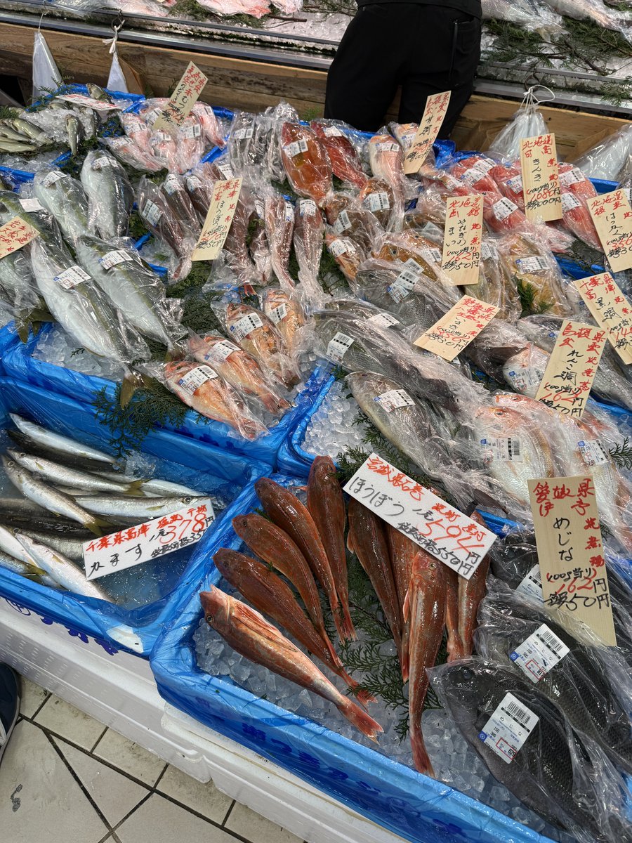 ug_neko2's tweet photo. ライブを見に来てるはずなのに魚を見てる https://t.co/uTLMIMmEbW