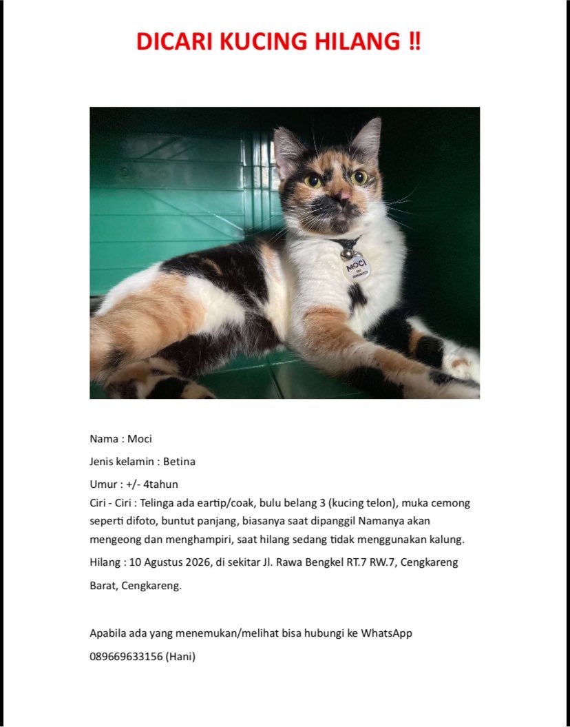 sweetiescatty's tweet photo. #kucinghilang #cengkareng #kucing https://t.co/HYXKwL5IbP