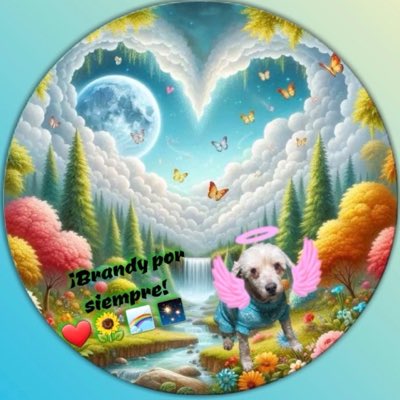Tacitobigotes's tweet photo. #NuevaFotoDePerfil https://t.co/YeliQtLeqU