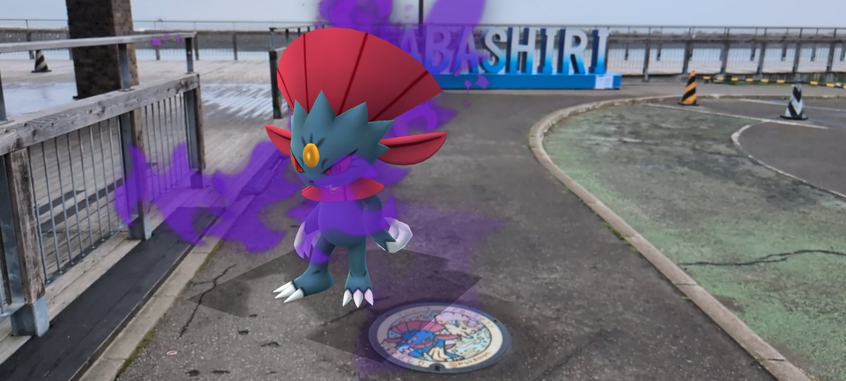 526rurog's tweet photo. 網走のポケふた。
マニューラと。 https://t.co/tyUx89VkzL