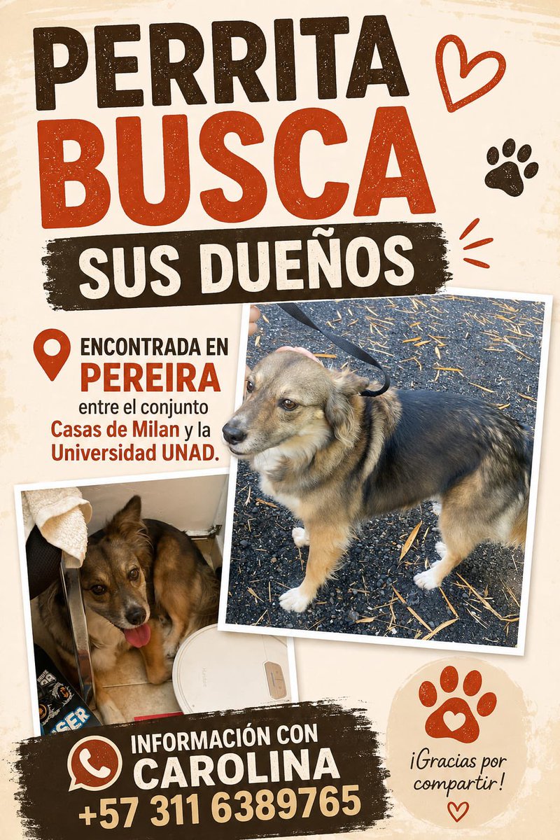 andreanimalidad's tweet photo. #Pereira Por si su familia la reconoce. Fue encontrada hoy, tras el terremoto 🙏🏻 https://t.co/dJ9iJt9ov1