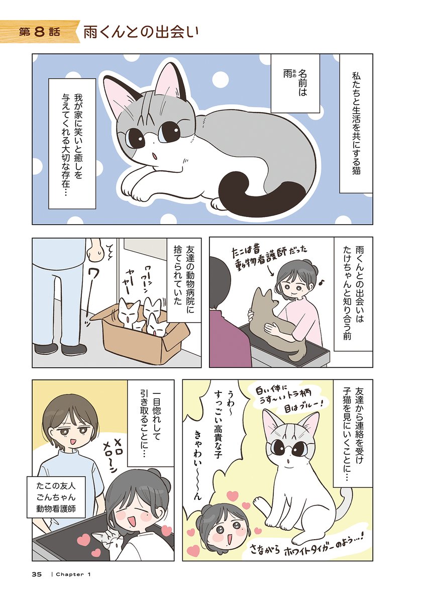 taco_taco_____'s tweet photo. 女ふたりと一緒に暮らす猫の話
(1/2) https://t.co/pUOc6EWFpt