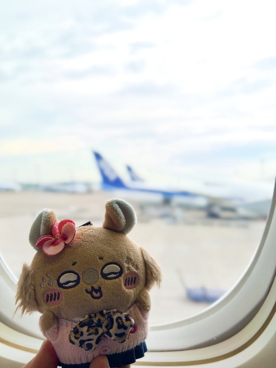 _1010xp's tweet photo. きたぞ宮崎〜❕ https://t.co/xUFqDps4BJ