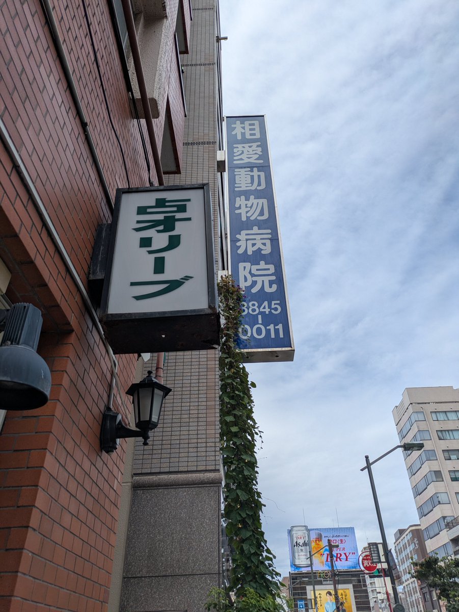 ikuradesign1375's tweet photo. 浅草、雷門通りを田原町方面に歩いたところにあります、占い館オリーブで、１１時から１９時まで鑑定しております🫒
台風の影響で不安定な天気です。お気をつけお越し下さい✨ https://t.co/TQYejXqnNO