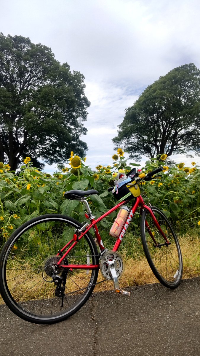 yomogi220's tweet photo. 雨が降る前にちょこっとサイクリング🚲 https://t.co/XzVARrLNWX