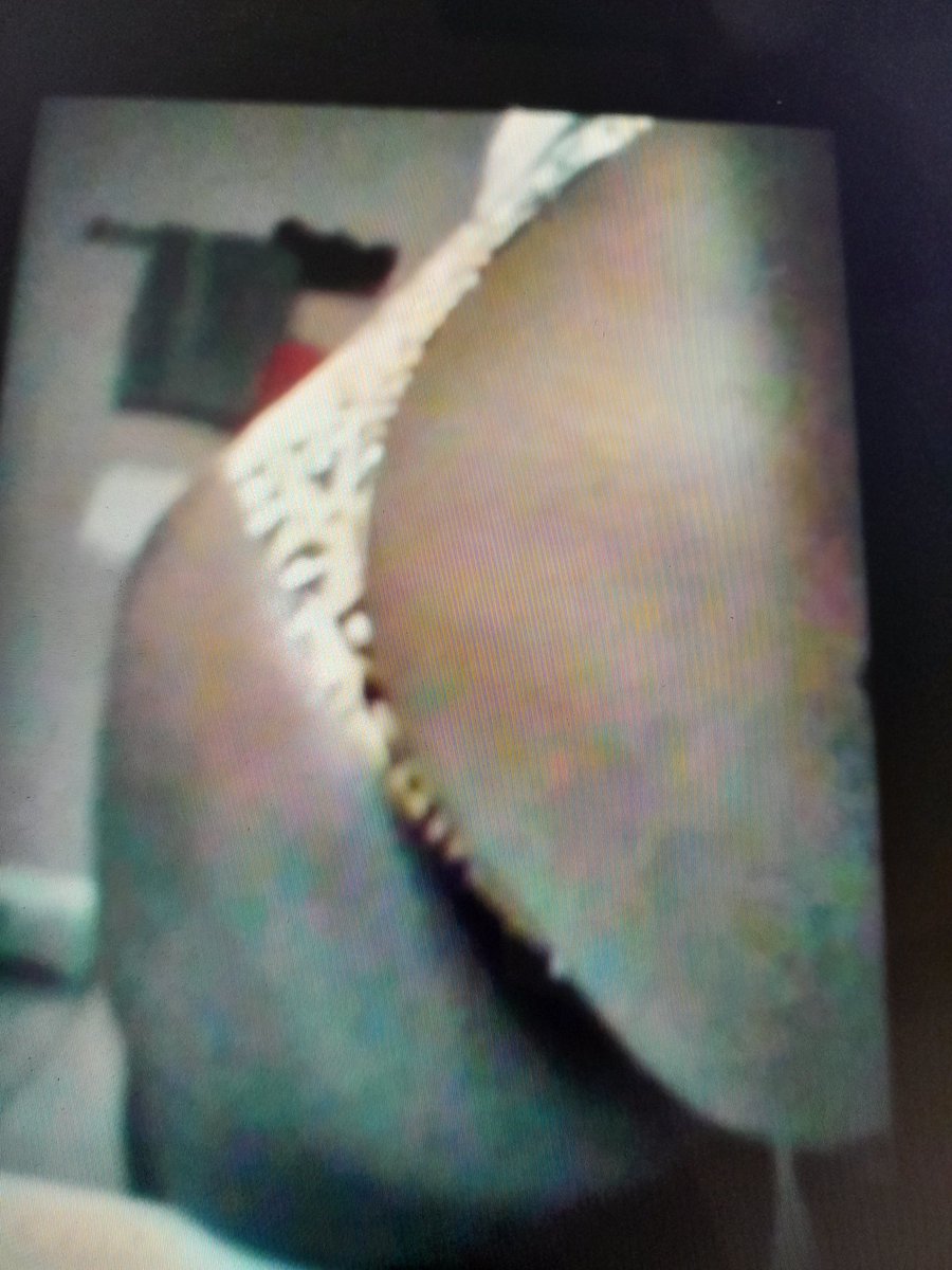 westkey1979's tweet photo. @TysonPornstar When I can taste some dick https://t.co/ibbnNPujyV