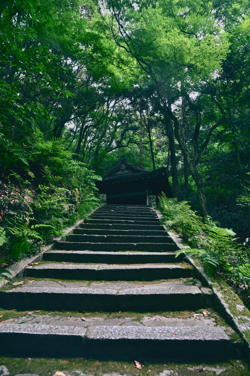 star_system_7's tweet photo. #山の日 https://t.co/SrCsXo5yh4