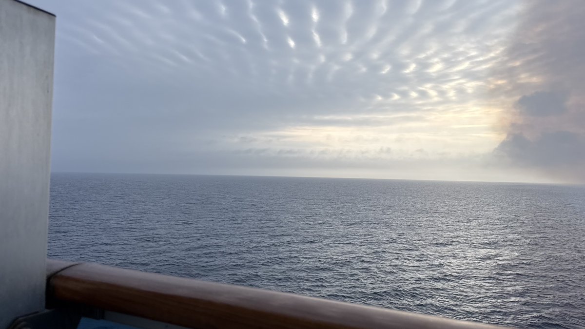 Westitude2010's tweet photo. Japan 2026
Diamond Princess https://t.co/hKm6sMOYf4