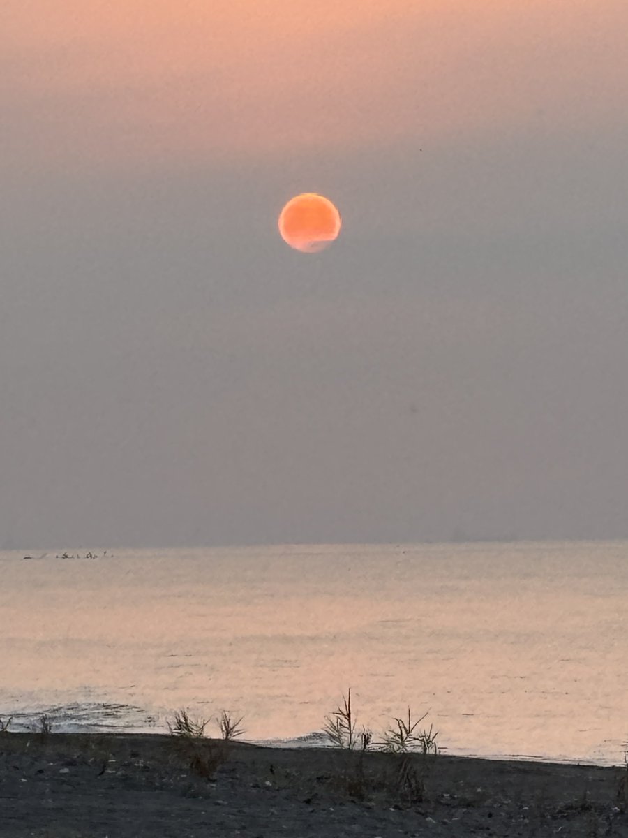 mcankayaevren's tweet photo. Mersin/Tece sahilinden bu güzel sabahın aydınlığından herkese günaydın. Ama ülkenin ve halkın geleceğini emperyalist tasarıya evet diyerek satanlar, sizlere günaydın değil. https://t.co/zCRt35hOeZ