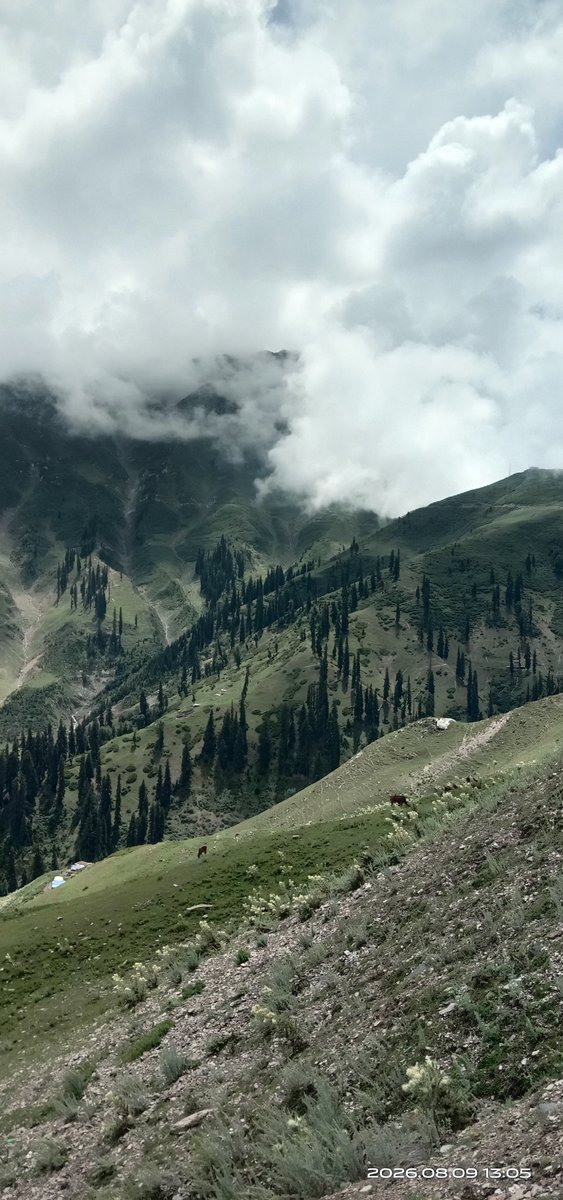 MirIshfaaq's tweet photo. Sadhna top Kupwara https://t.co/ZcverBgYXw