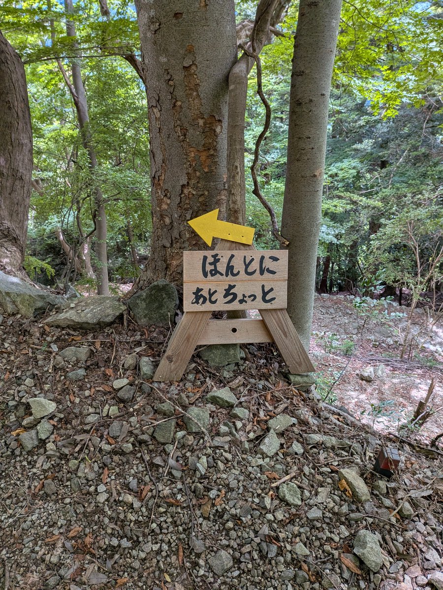 takehikogood's tweet photo. 今まで登った山で一番「気遣い」を感じた。 https://t.co/wuz46XImHj