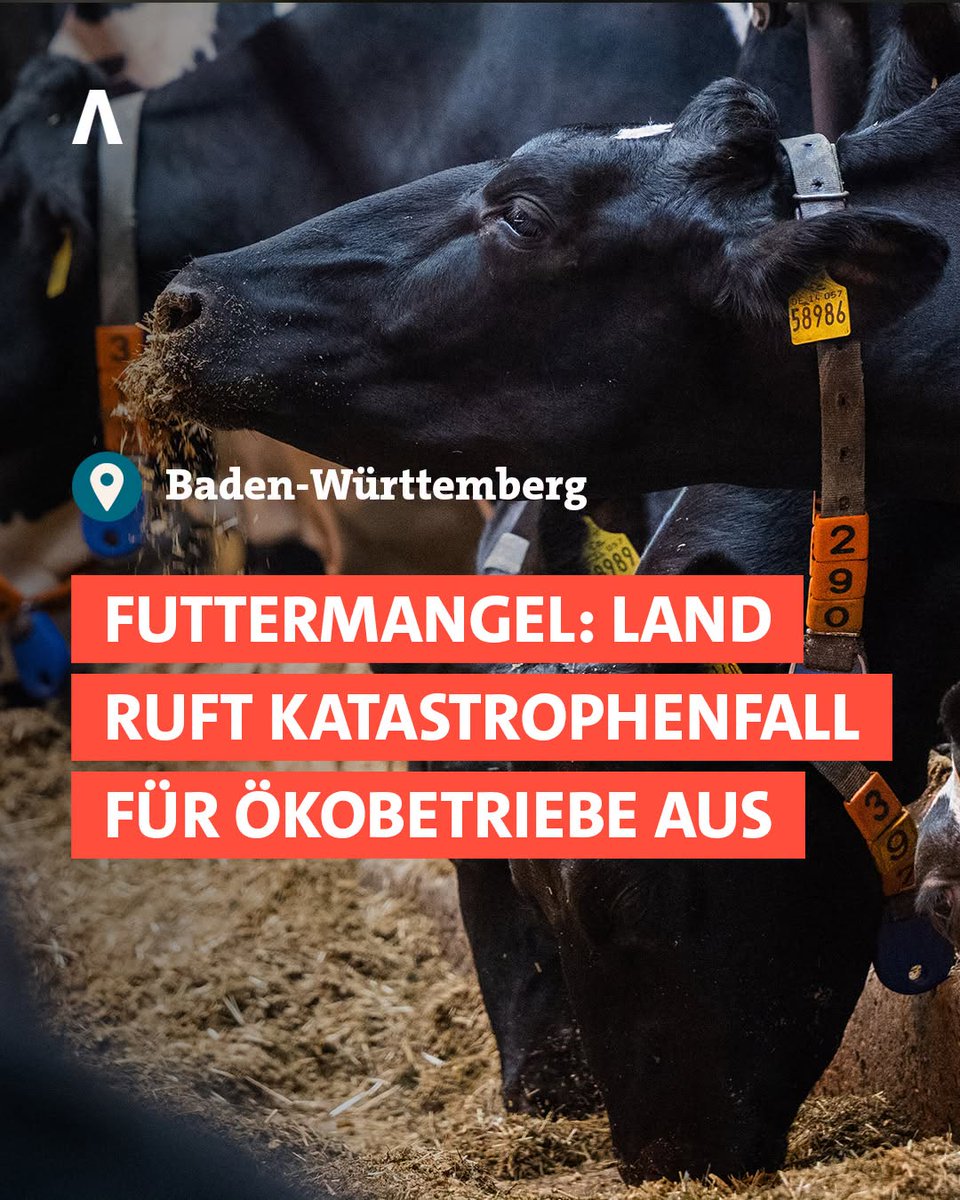 daniel_gugger's tweet photo. 888 Windkraft trocknet alles aus und dazu kommt noch
#Chemtrails #Haarp #Stickstofftrockeneis #Drohnenbeschuss #Wettermanipulation #Wetterangriffe #Massenmord #Silberiodidbegasung #Schwefeldioxidbegasung #Aluminiumbegasung #SolarRadiation #SmartDust #Barium #Graphenoxid #Quecksilber #wenigerMensch und #wenigerVieh = #wenigerCO2An
An alle Blinden der BRD Fremdverwaltung mit der Staatsangehörigkeit von Adolf von 1934
Grund ist die anhaltende Dürre: https://t.co/UsjAdNsjYk. Sie führt laut BW-Landwirtschaftsministerium zu einem Mangel an Bio-Rau- und Feldfutter.