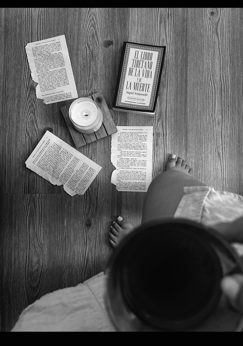 Velvetsinab's tweet photo. La impermanencia es una realidad de la vida.

Quizá por eso algunas miradas tienen algo de peligro, algunos encuentros algo de misterio y ciertos momentos una intensidad que no pide explicaciones. 

‘’ Solo ser vivida’’ https://t.co/6M5KbiXDXz