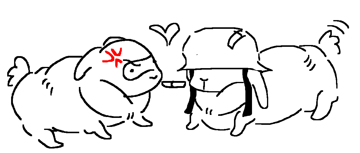 spyoomf's tweet photo. soldierspy rabbit https://t.co/3QMKoSjQcx