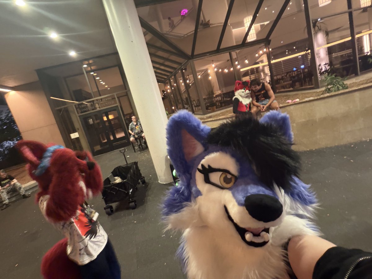 VinnyHusky's tweet photo. Had a blast at Furrydelphia can’t wait for next year!
#furrydelphia2026 #FD2026 #furrydelphia #furry #woof https://t.co/13px2WQL6b