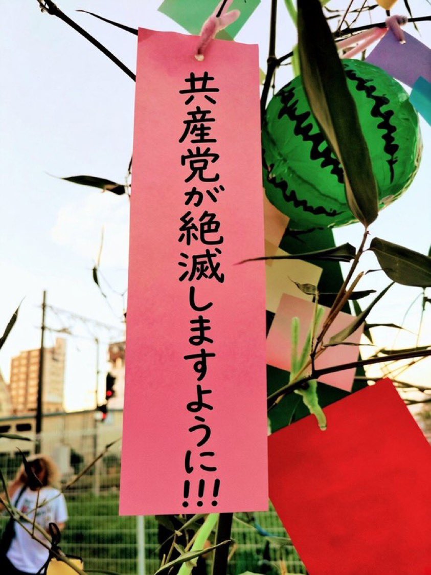 Tanakaseiji14's tweet photo. これで！
日本🇯🇵が救われる！ https://t.co/bylwhjs53S