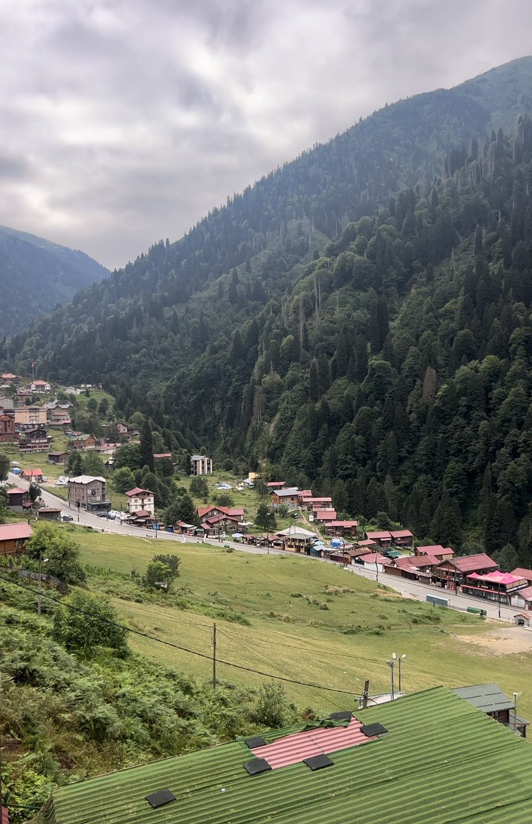 kraaal12345's tweet photo. #Günaydın 🌲🌲 🌲
#Rize #Ayder https://t.co/ThWpAErIY7