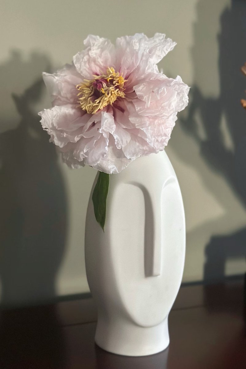 Amanda_xxll's tweet photo. One flower holds up the gentleness of the whole room. https://t.co/PDVsbFzwpG