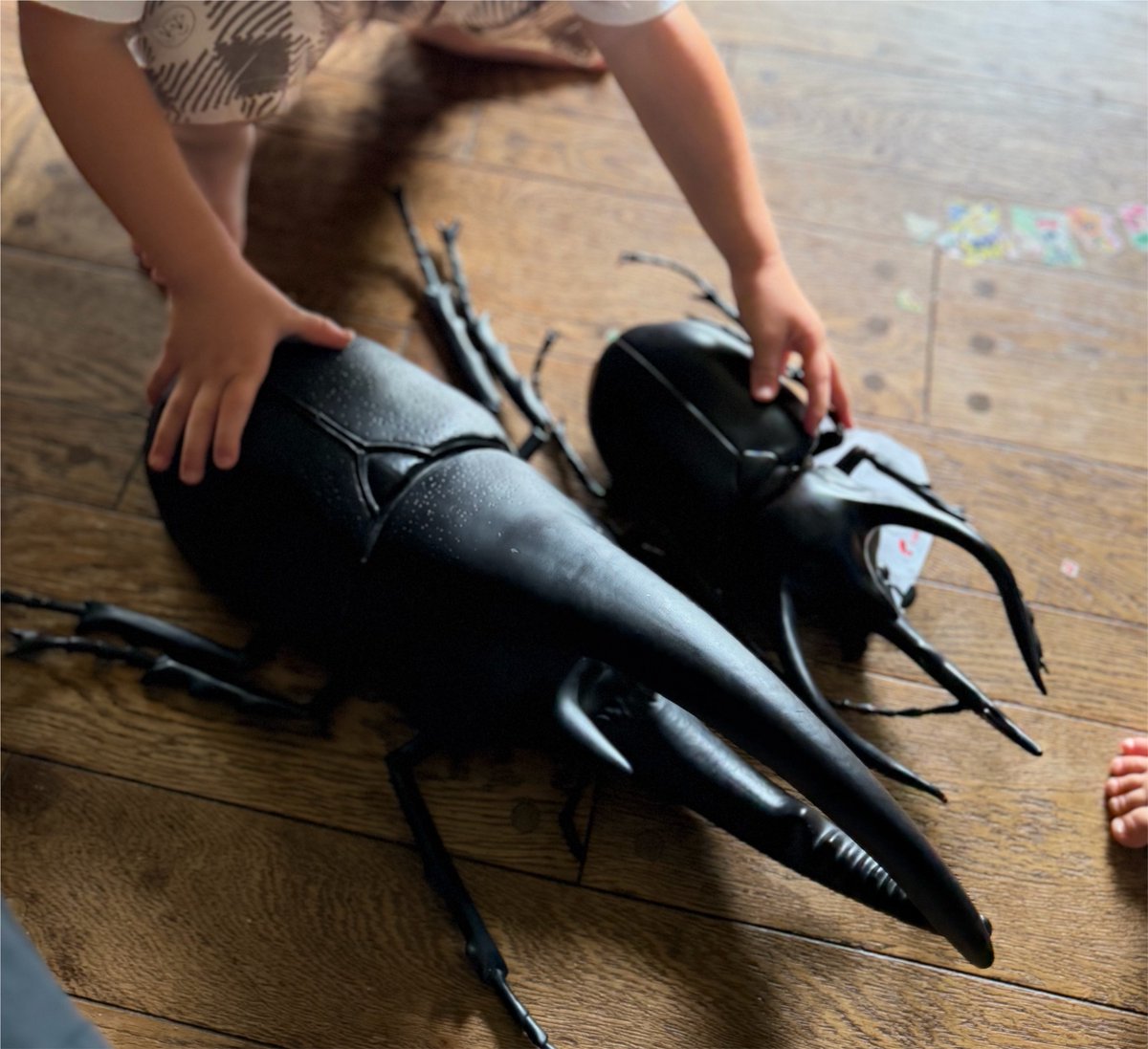 _ahrgw's tweet photo. 子連れでフリマということは、
カブトムシを買わされるということです https://t.co/CpUzW4Zjj8