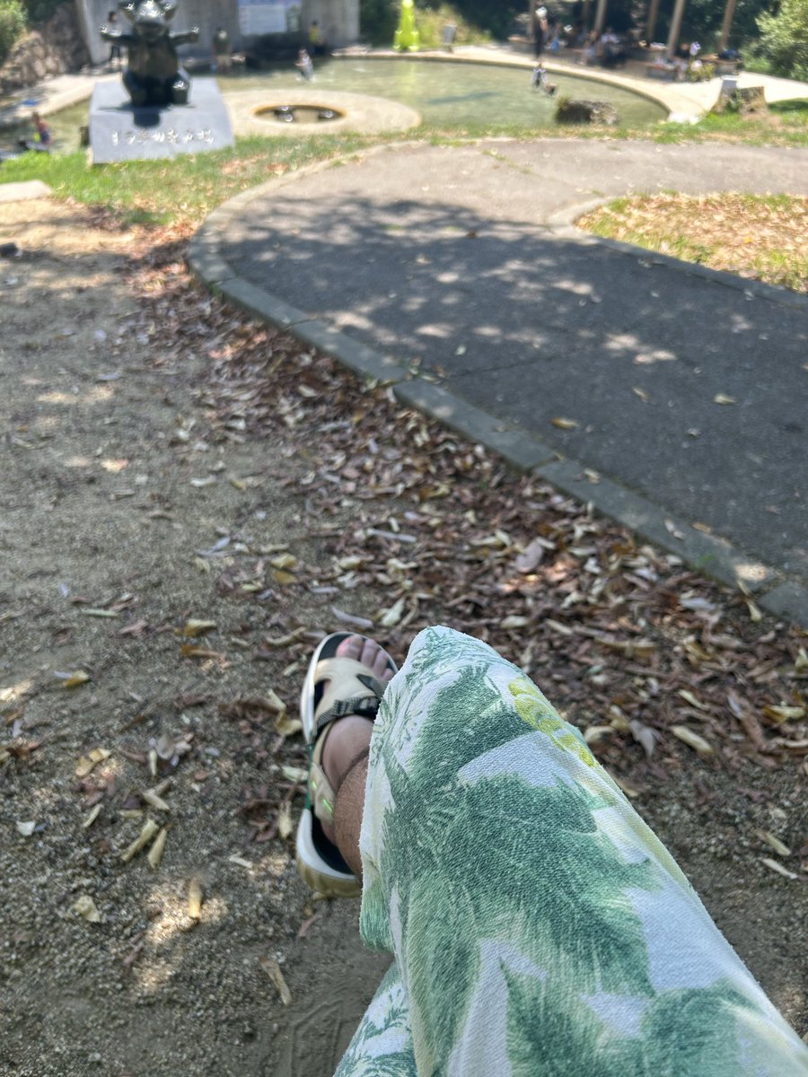 ryoryo_udon's tweet photo. キッズ達5人連れて公園来てるけど一生水遊びして帰る気配なし😭

でも今日は日陰おったらちょい涼しくて気持ちいい🥴
そして暇すぎるから眠すぎる😪 https://t.co/2a7K94frym