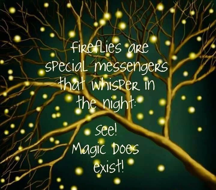 TundePatrick2's tweet photo. 🌙 ✨
#SpreadKindness #LifeLately https://t.co/vaeCerKqa3