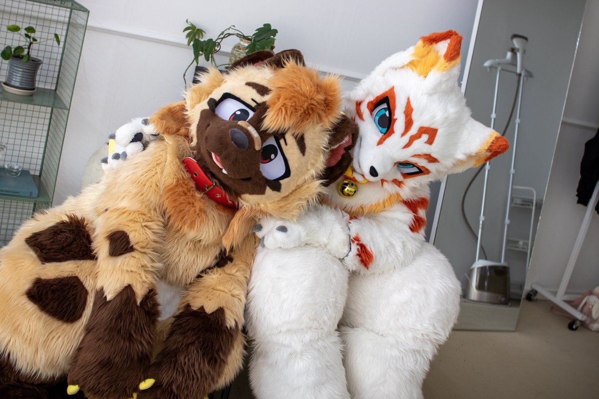 SaRyonP's tweet photo. 기웃~
#FursuitEveryday https://t.co/XfqBg96nfJ