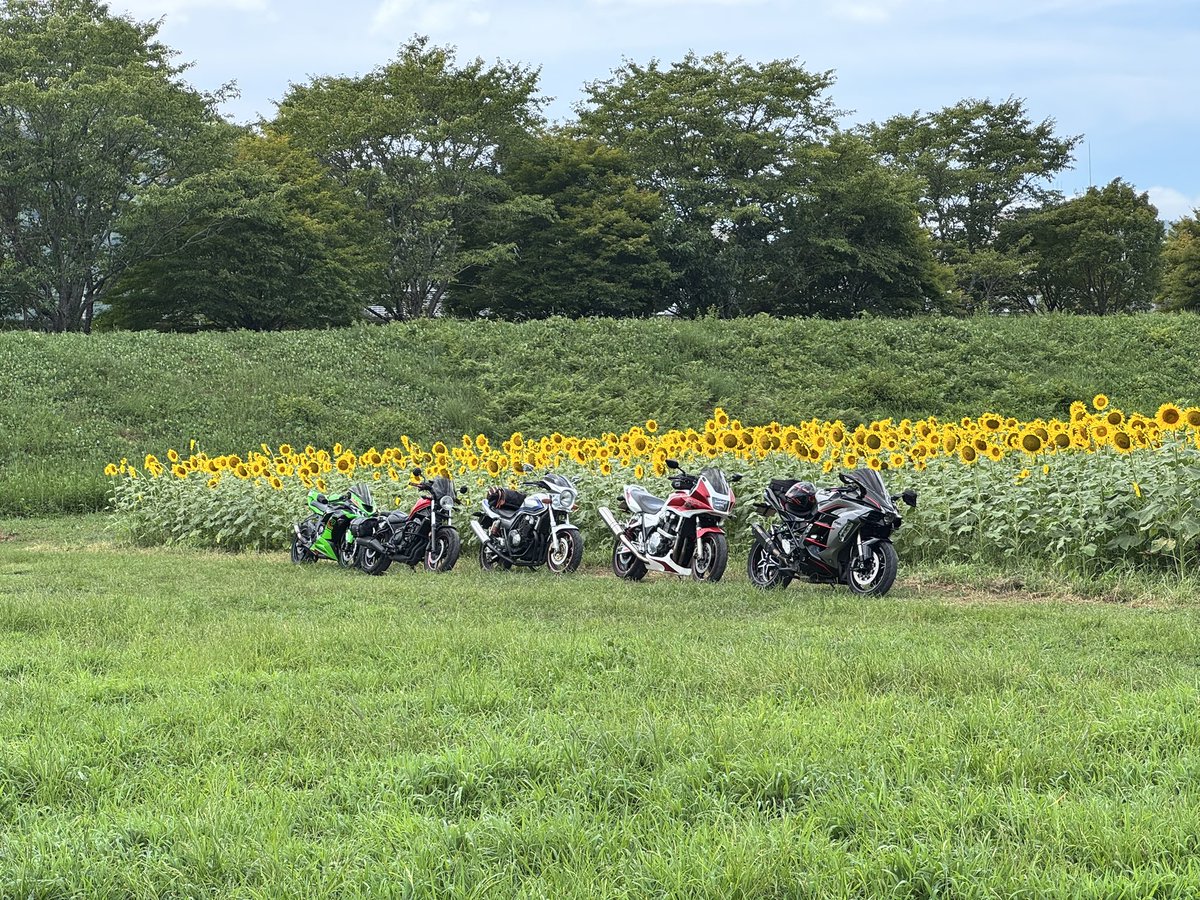 ryuok67's tweet photo. メッチャ綺麗やん🌻
綾部なう^_^ https://t.co/LVSMJhog1w