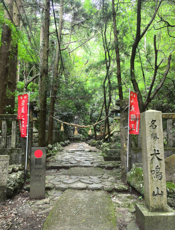 ayu04150's tweet photo. 山の日はやっぱり山だよね⛰️
犬鳴山に登ってきた！
渓谷沿いの道は涼しくて癒されるし、真夏のハイキングにぴったりだった🌿 https://t.co/7mhyVmU5Gs