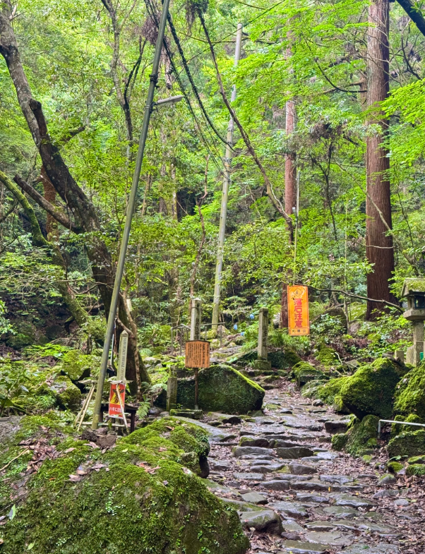 ayu04150's tweet photo. 山の日はやっぱり山だよね⛰️
犬鳴山に登ってきた！
渓谷沿いの道は涼しくて癒されるし、真夏のハイキングにぴったりだった🌿 https://t.co/7mhyVmU5Gs