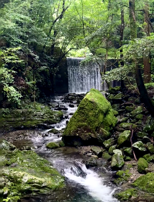 ayu04150's tweet photo. 山の日はやっぱり山だよね⛰️
犬鳴山に登ってきた！
渓谷沿いの道は涼しくて癒されるし、真夏のハイキングにぴったりだった🌿 https://t.co/7mhyVmU5Gs